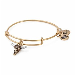 Alex and ani spirited skull charm bracelet